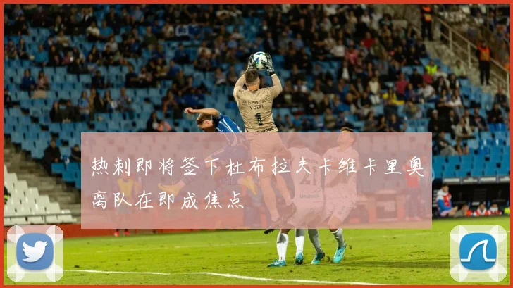 热刺即将签下杜布拉夫卡维卡里奥离队在即成焦点